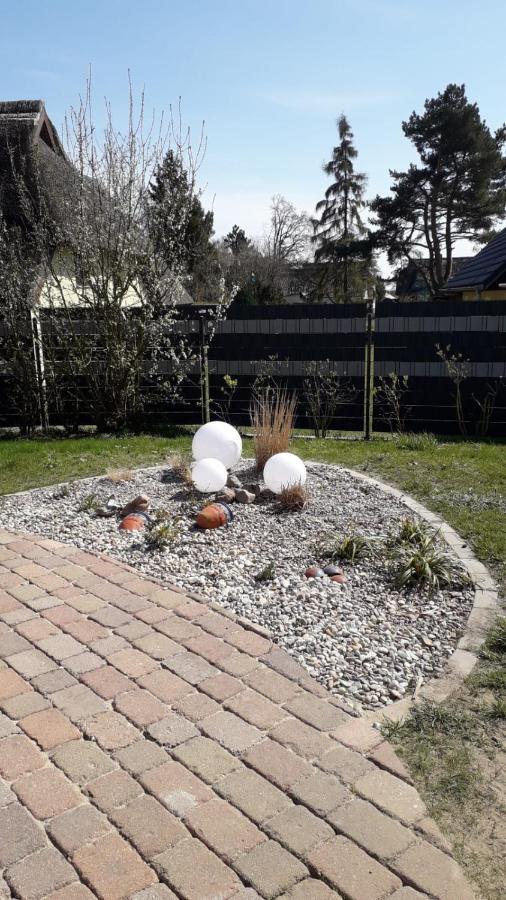 Ferienwohnung Born Am Darsswald Eg 外观 照片